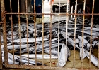 1209200032